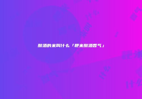 酿酒的米叫什么「粳米酿酒香气」