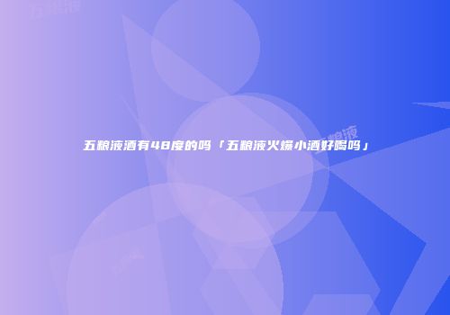 五粮液酒有48度的吗「五粮液火爆小酒好喝吗」