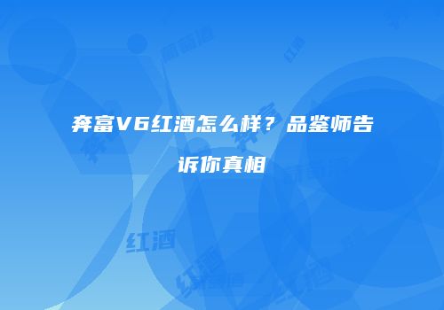 奔富V6红酒怎么样？品鉴师告诉你真相