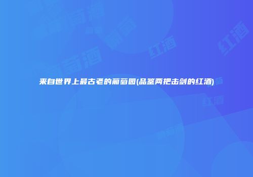 来自世界上最古老的葡萄园(品鉴两把击剑的红酒)