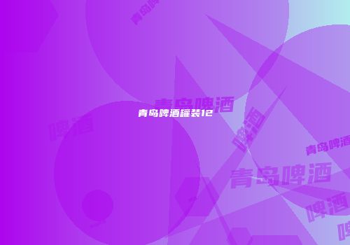 青岛啤酒罐装12
