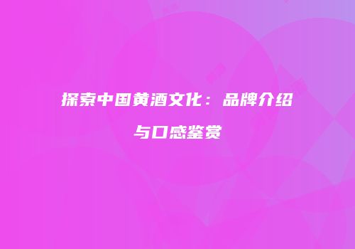 探索中国黄酒文化：品牌介绍与口感鉴赏