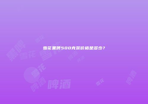 雪花黑啤500克装价格是多少？