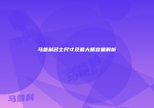 马爹利名士尺寸及最大瓶容量解析