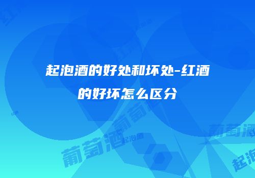 起泡酒的好处和坏处-红酒的好坏怎么区分