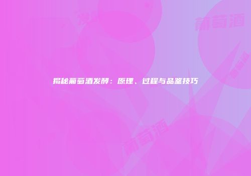 揭秘葡萄酒发酵：原理、过程与品鉴技巧