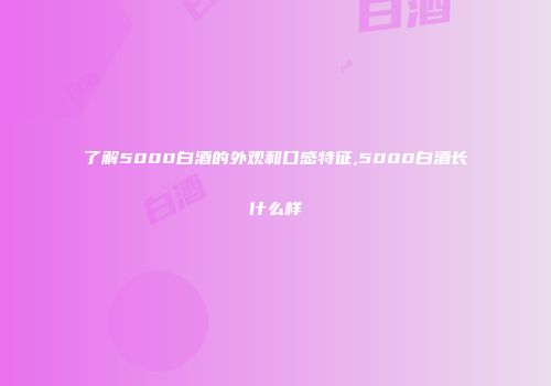 了解5000白酒的外观和口感特征,5000白酒长什么样