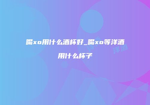 喝xo用什么酒杯好_喝xo等洋酒用什么杯子