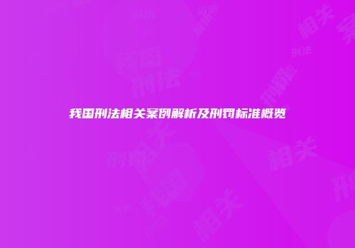 我国刑法相关案例解析及刑罚标准概览