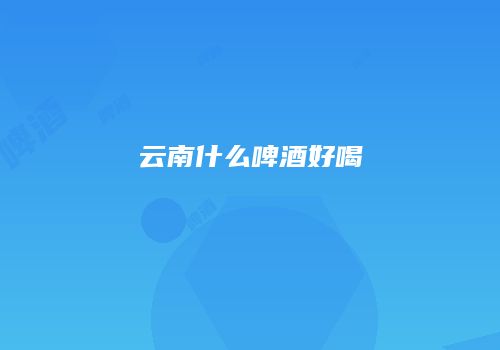 云南什么啤酒好喝