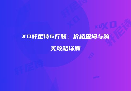 XO轩尼诗6斤装：价格查询与购买攻略详解
