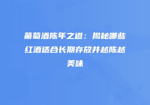葡萄酒陈年之道：揭秘哪些红酒适合长期存放并越陈越美味