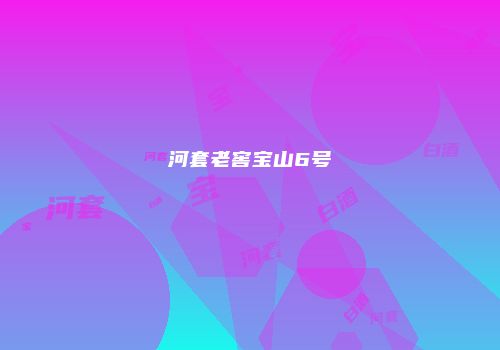 河套老窖宝山6号