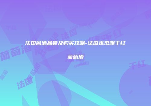 法国名酒品尝及购买攻略-法国本杰明干红葡萄酒
