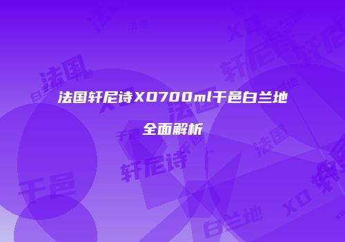 法国轩尼诗XO700ml干邑白兰地全面解析