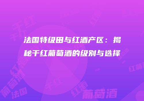 法国特级田与红酒产区：揭秘干红葡萄酒的级别与选择