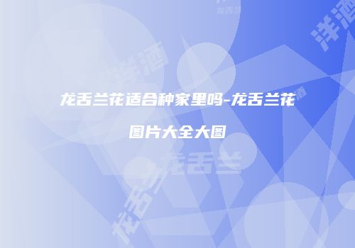 龙舌兰花适合种家里吗-龙舌兰花图片大全大图