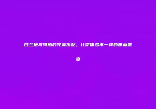 白兰地与啤酒的完美搭配，让你体验不一样的味蕾盛宴
