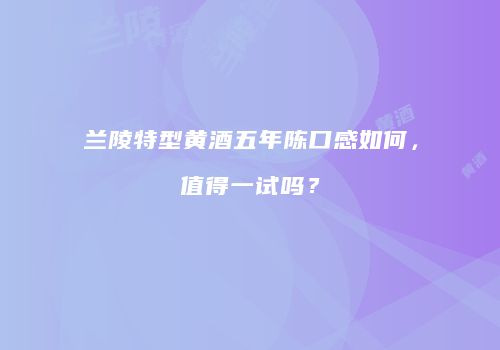 兰陵特型黄酒五年陈口感如何，值得一试吗？