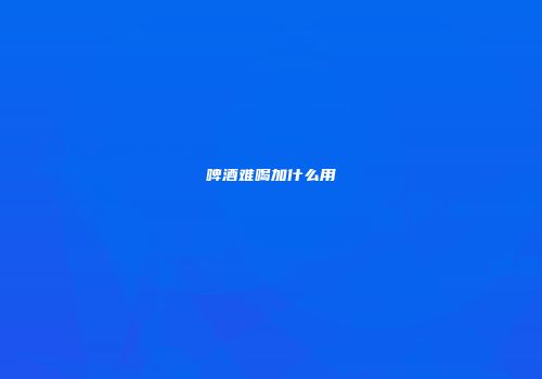 啤酒难喝加什么用