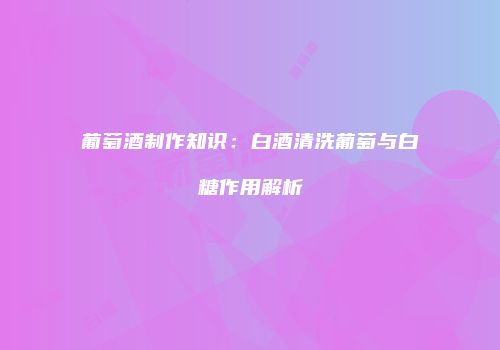 葡萄酒制作知识：白酒清洗葡萄与白糖作用解析