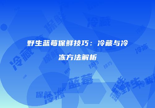 野生蓝莓保鲜技巧：冷藏与冷冻方法解析