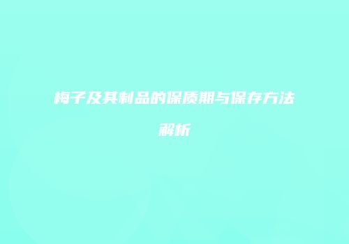 梅子及其制品的保质期与保存方法解析