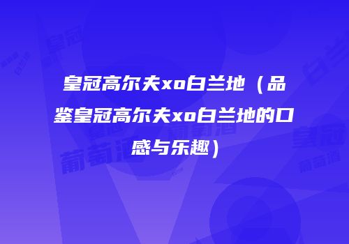 皇冠高尔夫xo白兰地（品鉴皇冠高尔夫xo白兰地的口感与乐趣）