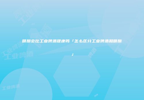 精酿会比工业啤酒健康吗「怎么区分工业啤酒和精酿」