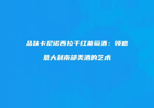 品味卡尼诺西拉干红葡萄酒：领略意大利南部美酒的艺术