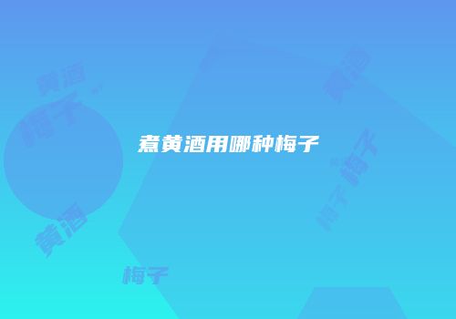 煮黄酒用哪种梅子