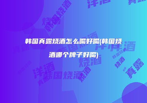 韩国真露烧酒怎么喝好喝(韩国烧酒哪个牌子好喝)
