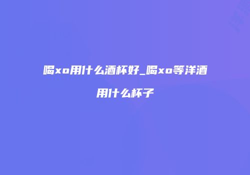 喝xo用什么酒杯好_喝xo等洋酒用什么杯子
