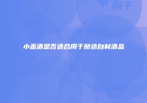 小麦酒是否适合用于酿造自制酒品