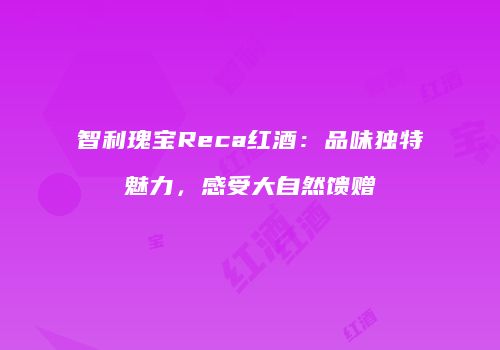 智利瑰宝Reca红酒：品味独特魅力，感受大自然馈赠