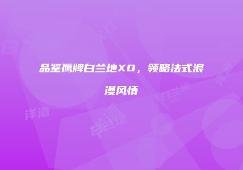 品鉴鹰牌白兰地XO，领略法式浪漫风情