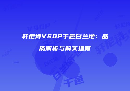 轩尼诗VSOP干邑白兰地：品质解析与购买指南