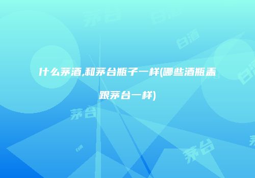 什么茅酒,和茅台瓶子一样(哪些酒瓶盖跟茅台一样)
