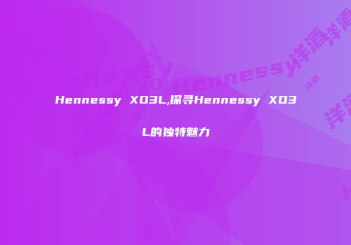 Hennessy XO3L,探寻Hennessy XO3L的独特魅力