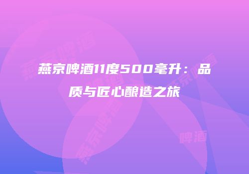 燕京啤酒11度500毫升：品质与匠心酿造之旅