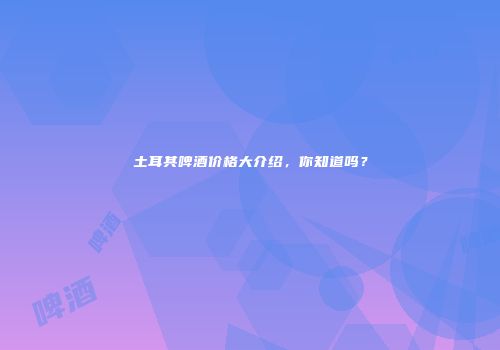 土耳其啤酒价格大介绍，你知道吗？