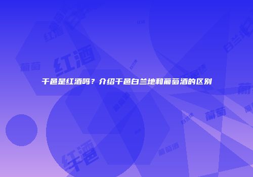干邑是红酒吗？介绍干邑白兰地和葡萄酒的区别