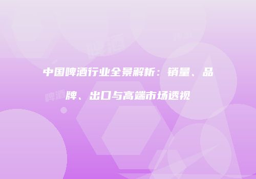 中国啤酒行业全景解析：销量、品牌、出口与高端市场透视