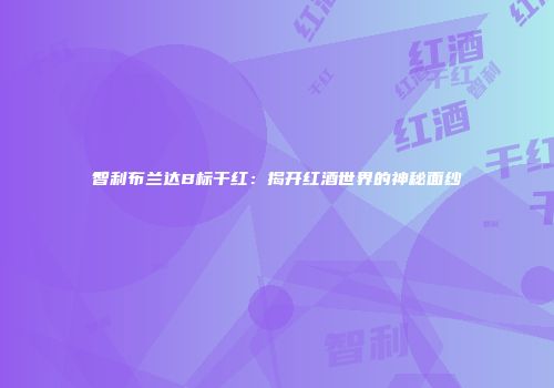智利布兰达B标干红：揭开红酒世界的神秘面纱