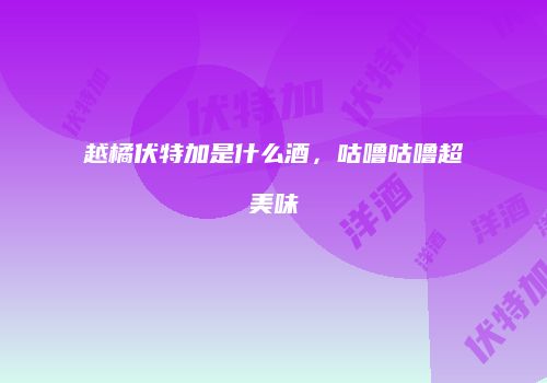 越橘伏特加是什么酒，咕噜咕噜超美味