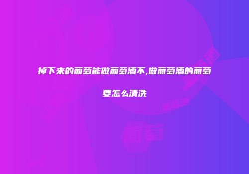 掉下来的葡萄能做葡萄酒不,做葡萄酒的葡萄要怎么清洗