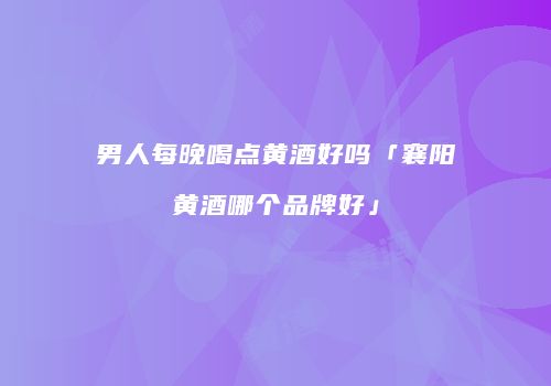 男人每晚喝点黄酒好吗「襄阳黄酒哪个品牌好」