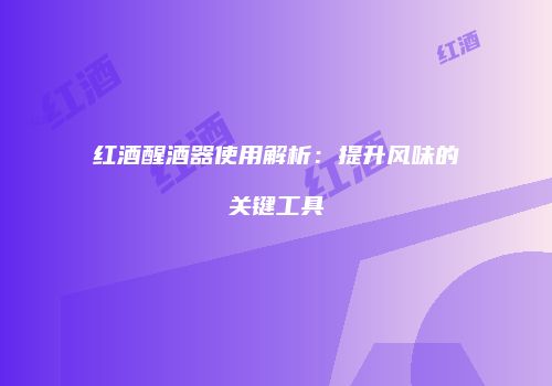 红酒醒酒器使用解析：提升风味的关键工具