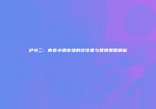 泸小二：青春小酒市场的佼佼者与营销策略解析