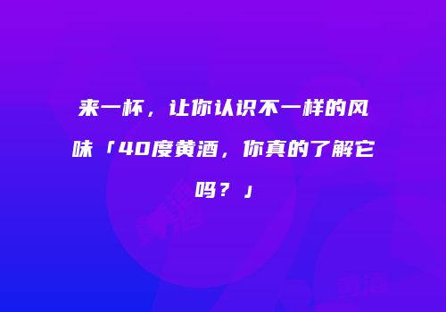 来一杯，让你认识不一样的风味「40度黄酒，你真的了解它吗？」
